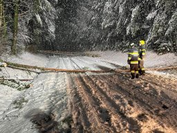 Schneechaos 20 & 21.02.2026