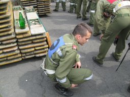 BLB Gossendorf 160509