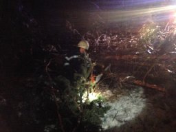 Glatteis-chaos 020214