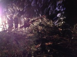 Glatteis-chaos 020214